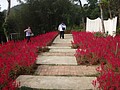 DSC07195.JPG