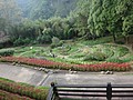 DSC07196.JPG
