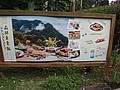 DSC07200.JPG