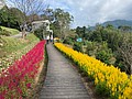 S__14139405.jpg