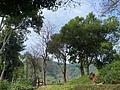 S__14139407.jpg