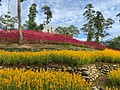 S__14139419.jpg