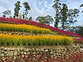 S__14139423.jpg