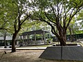 2365-1.jpg