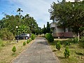 2365-7.jpg