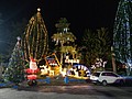 239924.jpg