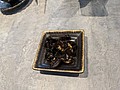 PXL_20210115_041616649.jpg