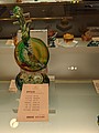 PXL_20210118_121638182.jpg