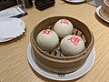 PXL_20210119_032152649.jpg