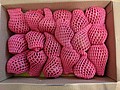 PXL_20210122_011503432.jpg