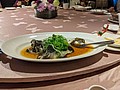 PXL_20210123_045426524.jpg