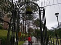 257735.jpg