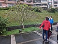 PXL_20210213_083050823.MP.jpg