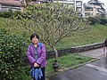 PXL_20210213_083120985.MP.jpg