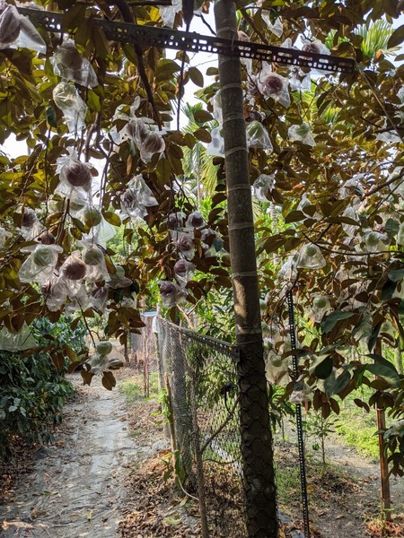 2021321_210323_59.jpg