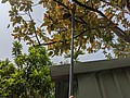 2021321_210323_37.jpg
