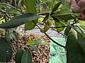 2021321_210323_46.jpg