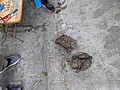 2021321_210323_53.jpg