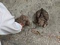 2021321_210323_54.jpg