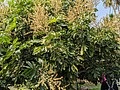 2021321_210323_69.jpg
