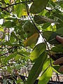 2021321_210323_70.jpg