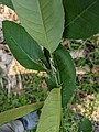 2021321_210323_74.jpg