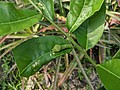 2021321_210323_76.jpg