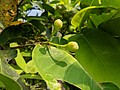 2021321_210323_77.jpg