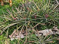 2021321_210323_78.jpg