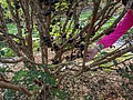 2021321_210323_81.jpg