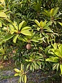 2021321_210323_83.jpg