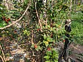 2021321_210323_91.jpg