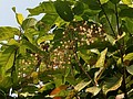 20210321_210323_32.jpg