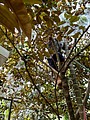 20210321_210323_36.jpg
