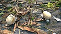 20210321_210323_41.jpg