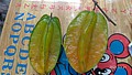 20210321_210323_56.jpg