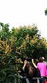 20210321_210323_61.jpg
