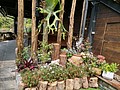 20210321_210323_85.jpg