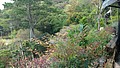 20210321_210323_93.jpg
