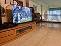 PXL_20210423_093828488.jpg