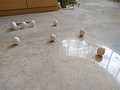 IMG_20210614_122646.jpg
