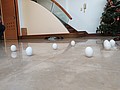 IMG_20210614_122711.jpg