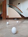 IMG_20210614_122727.jpg