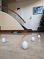 IMG_20210614_122741.jpg