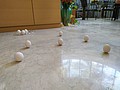 IMG_20210614_132833.jpg