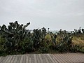378015.jpg