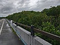 389805.jpg