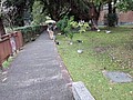 34037.jpg
