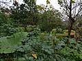 390450.jpg