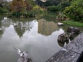 390451.jpg